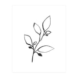 Ink Plant (Print Only) thumbnail