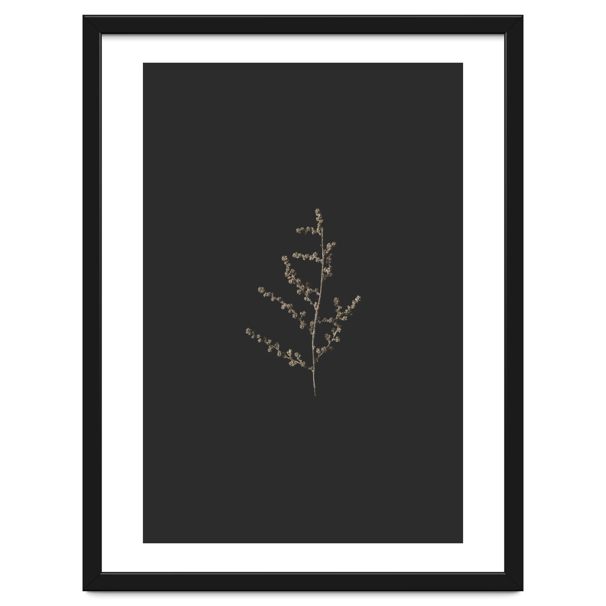 Dainty Botanicals in Gold and Black