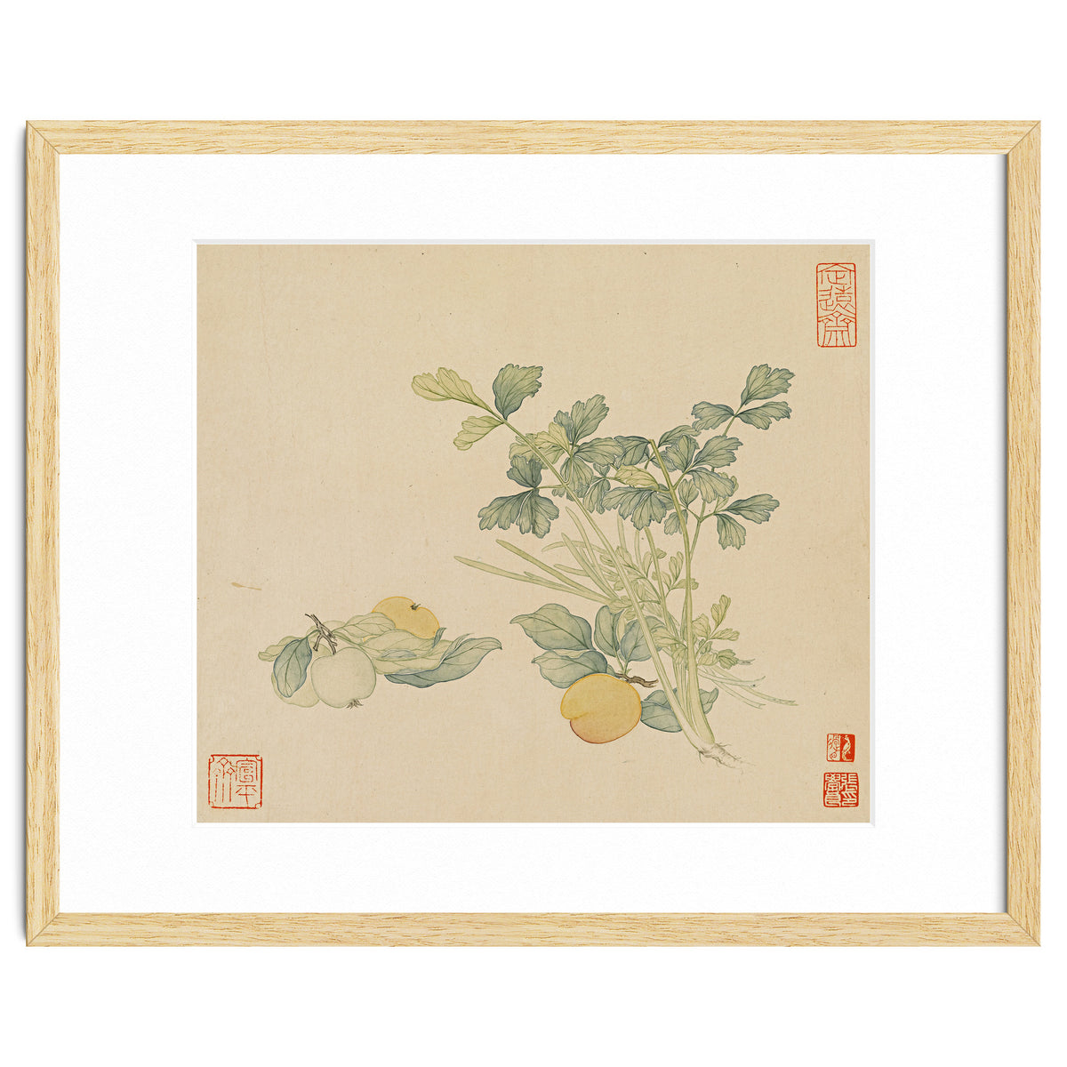 Wang Chengyu~flowers And Vegetables, Vegetables, Fruits, Plums, Apricots, Celery