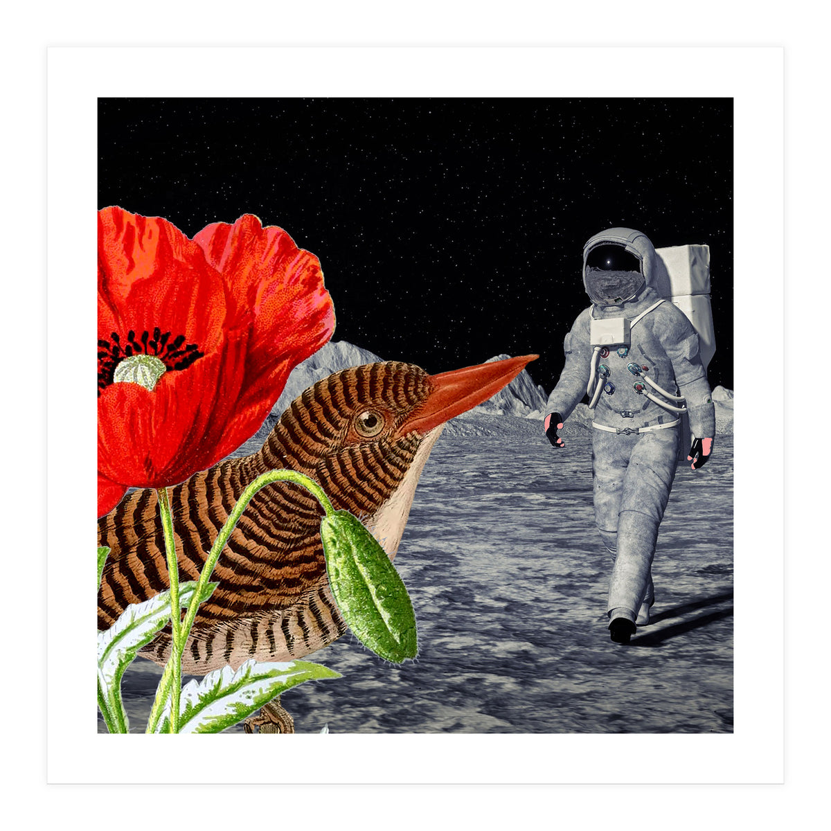 Bird On The Moon  (Print Only)