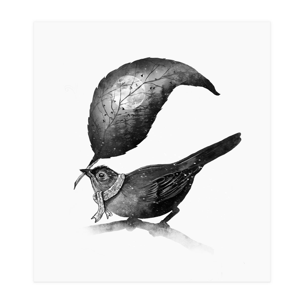 The Messenger (Print Only)