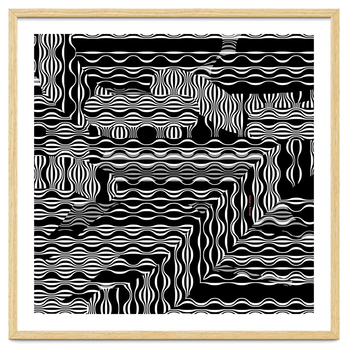 BLACK AND WHITE EXOTIC