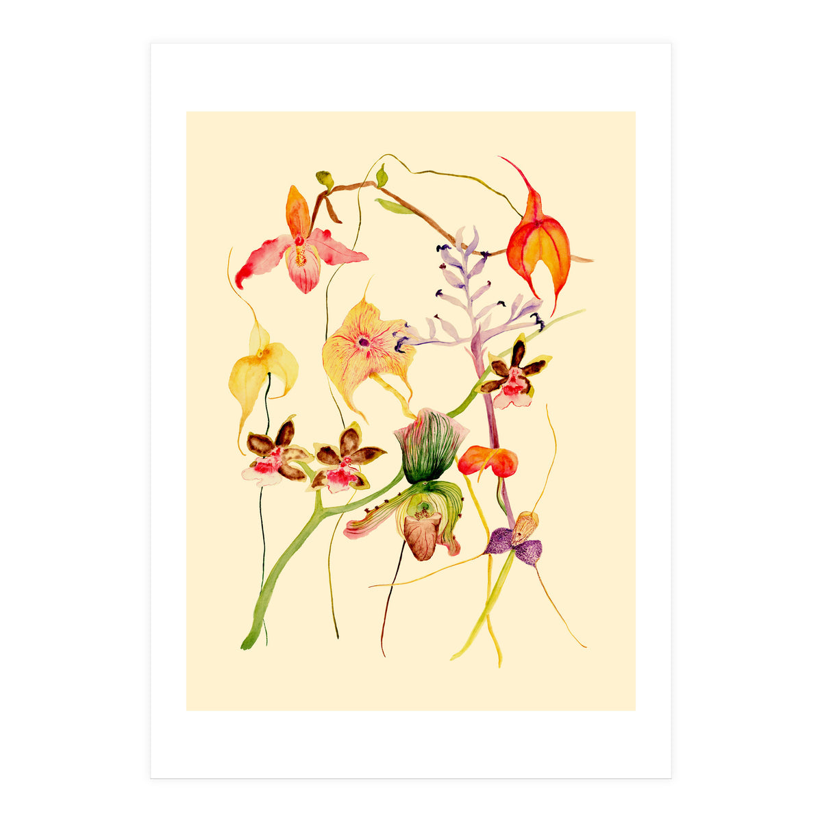 Orchids #1 (Print Only)