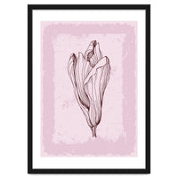 Magnolia Neutral Abstract Botanical