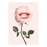 Glossy Rose (Print Only) thumbnail