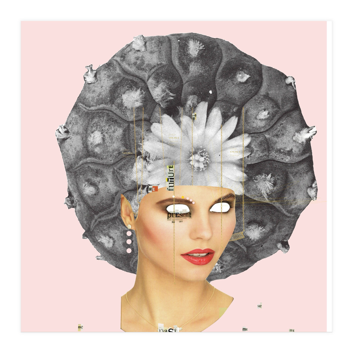 Rosa, Present (Print Only)