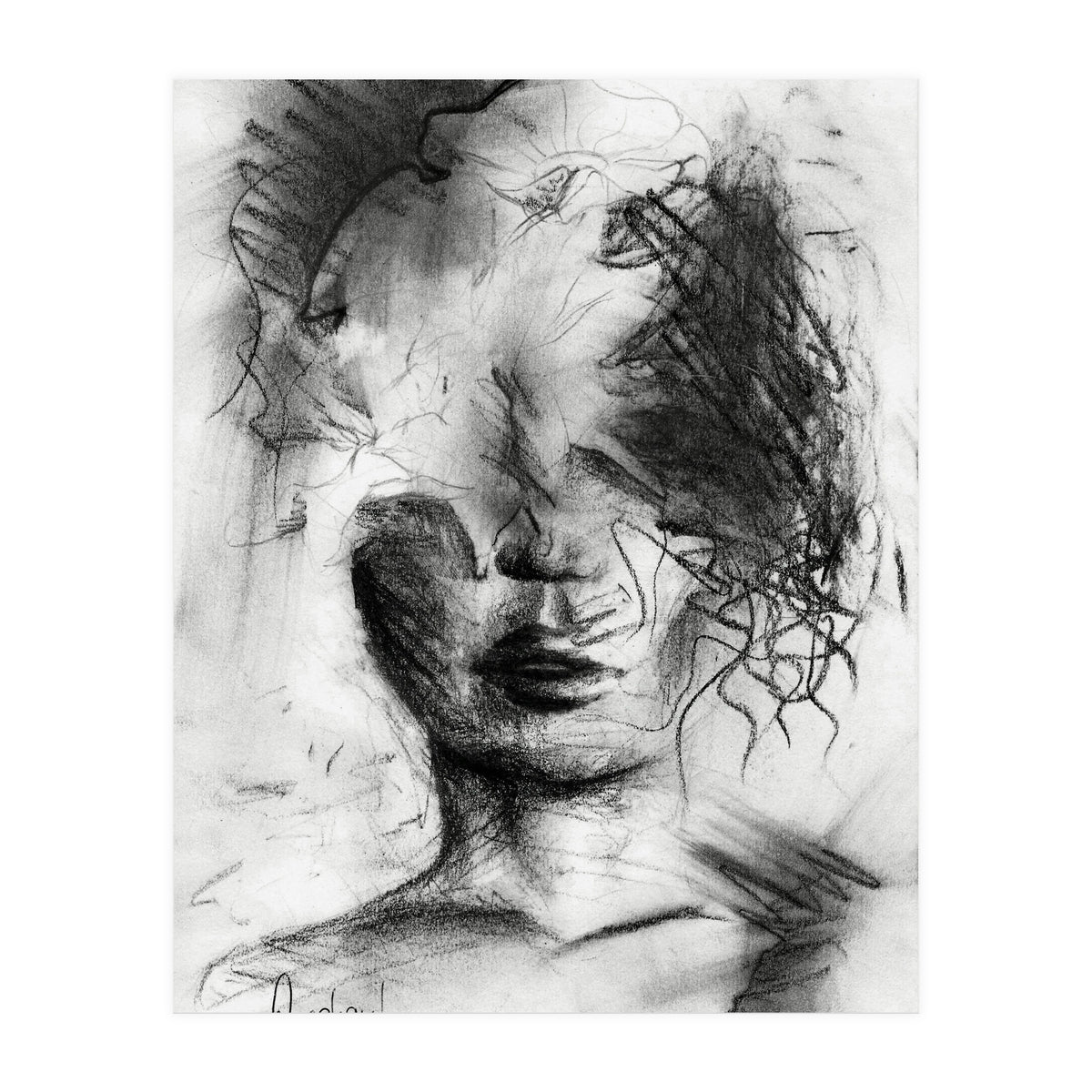 Curiosity (Print Only)