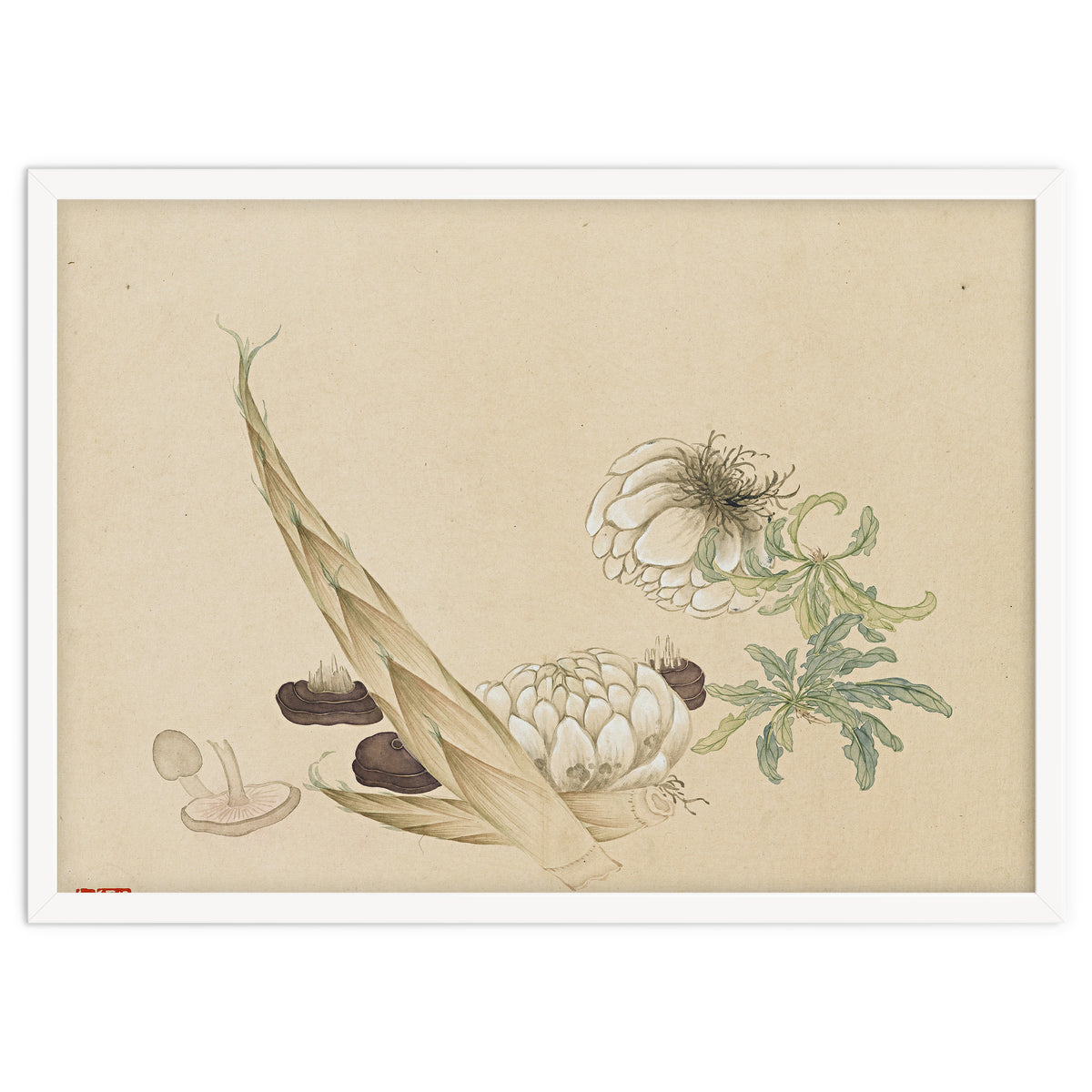 Wang Chengyu ~flowers, Vegetables, Lilies, Bamboo Shoots, Leaves, Mushrooms, Vegetables