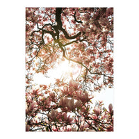 Magnolia tree (Print Only)