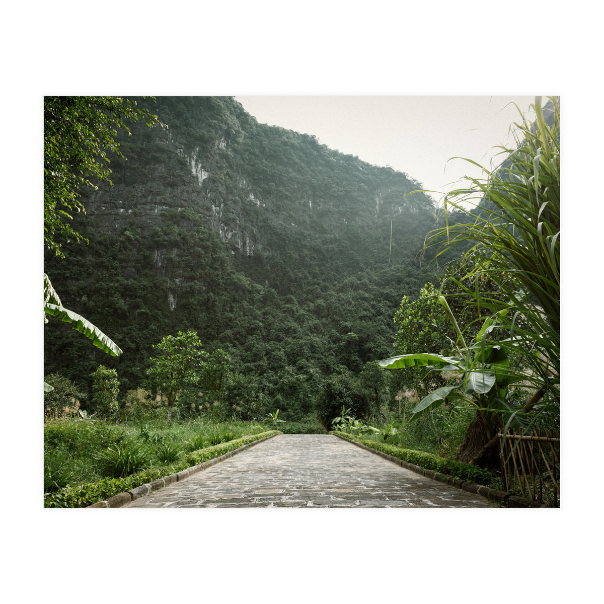 Greenscape (Print Only)