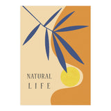 NATURAL LIFE (Print Only) thumbnail