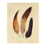 Three Feathers (Print Only) thumbnail