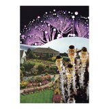 Fungi (Print Only) thumbnail