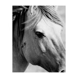 27 (Print Only) thumbnail