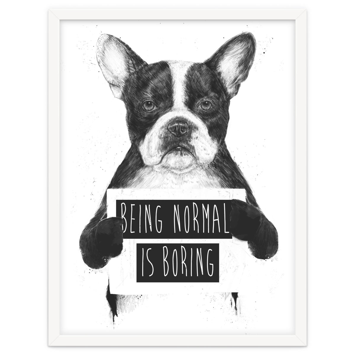 Being Normal Is Boring