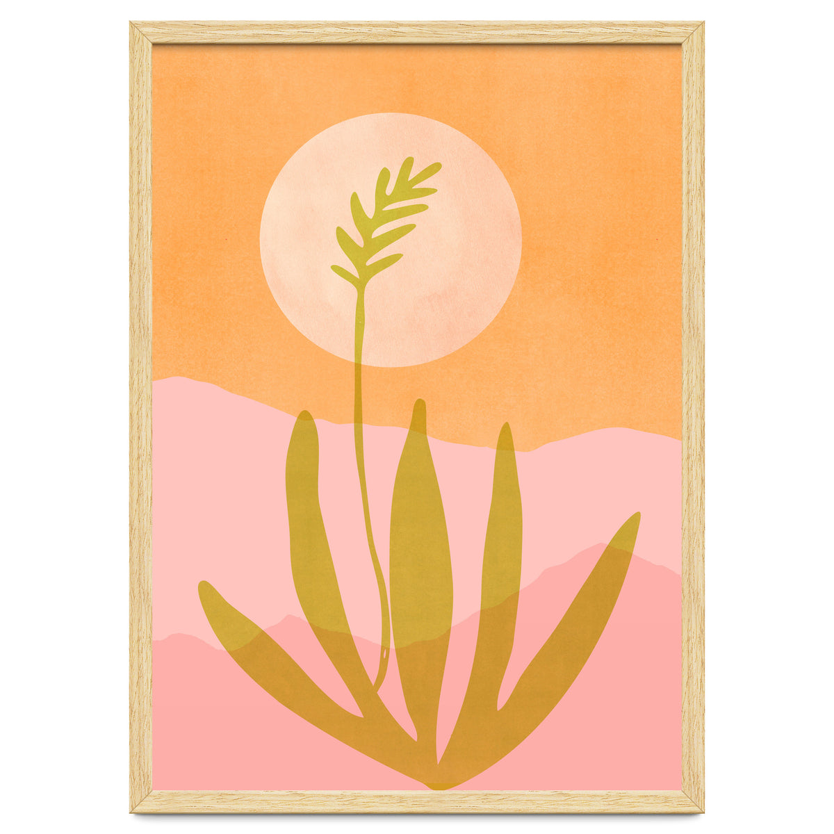 Desert Moon With Agave