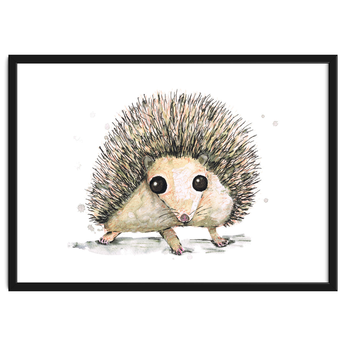 Hedgehog