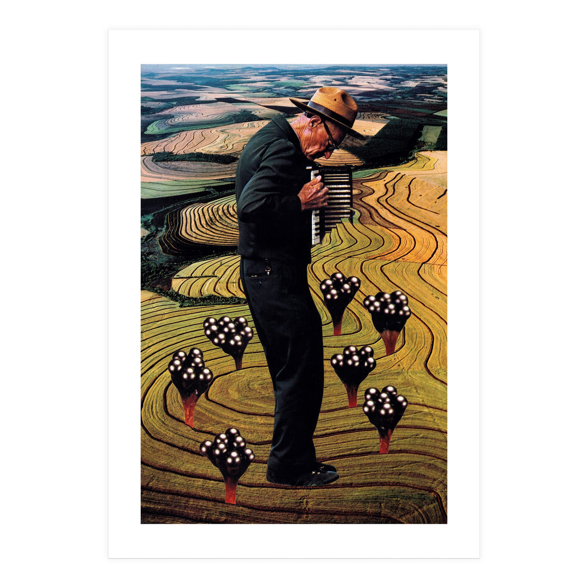 Accordion (Print Only)