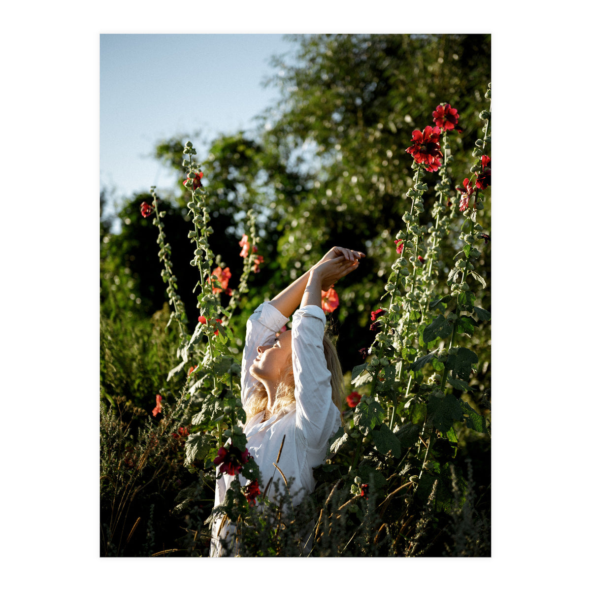 Flowers between Flowers (Print Only)