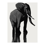 Elephant (Print Only) thumbnail