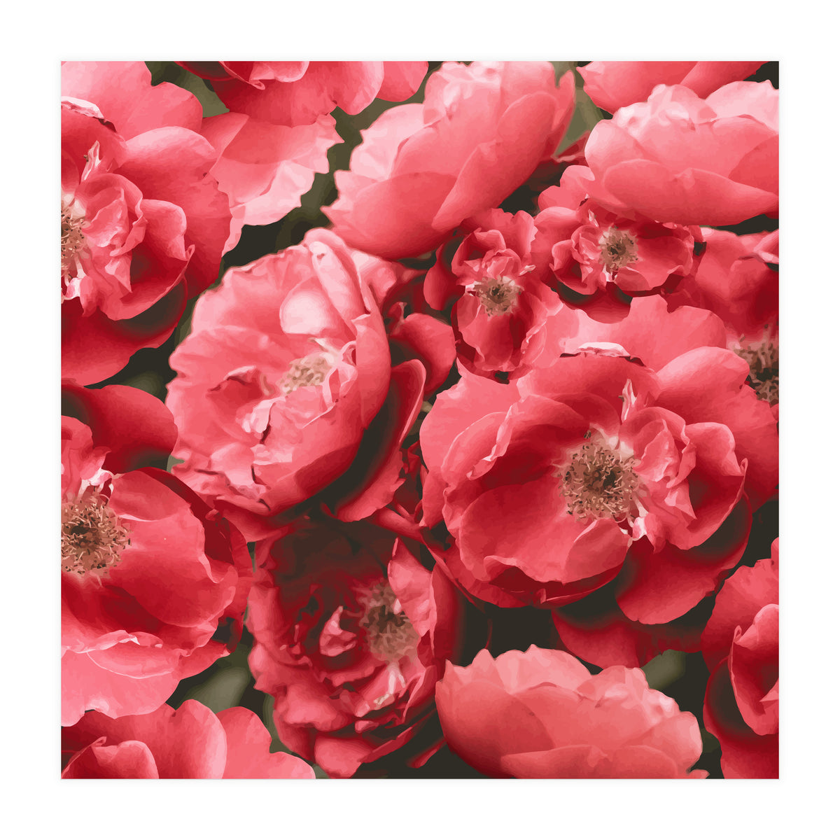 Christina (Print Only)