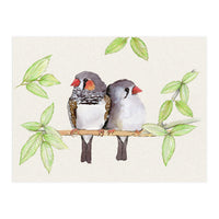 Sweet couple of zebra finches (Print Only)