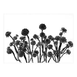 cactus succulents (Print Only) thumbnail
