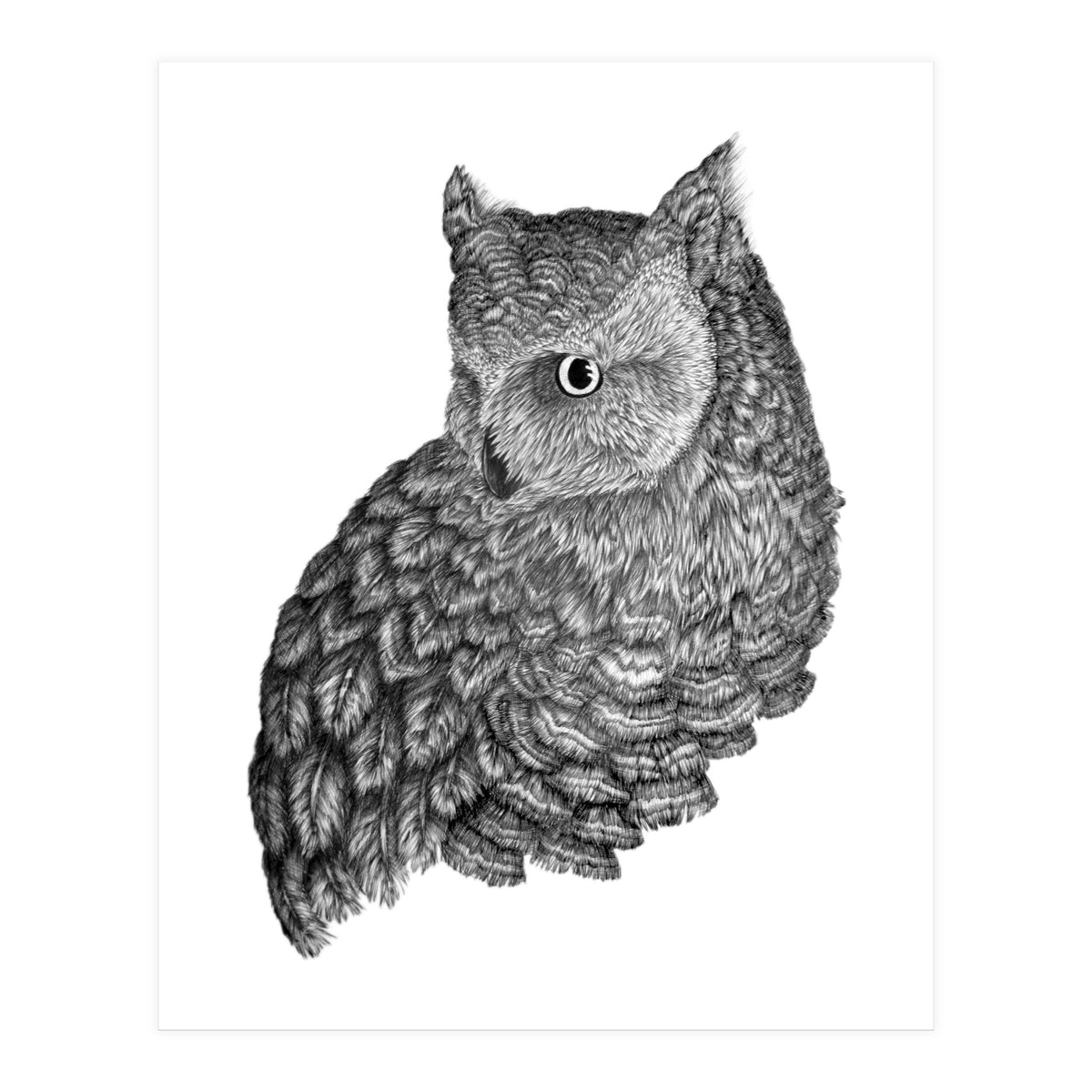 A Friend For Forsythe (Print Only)