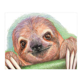 Smiling Sloth (Print Only) thumbnail