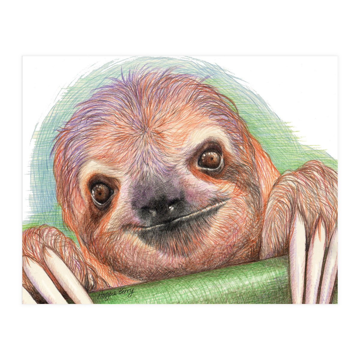 Smiling Sloth (Print Only)