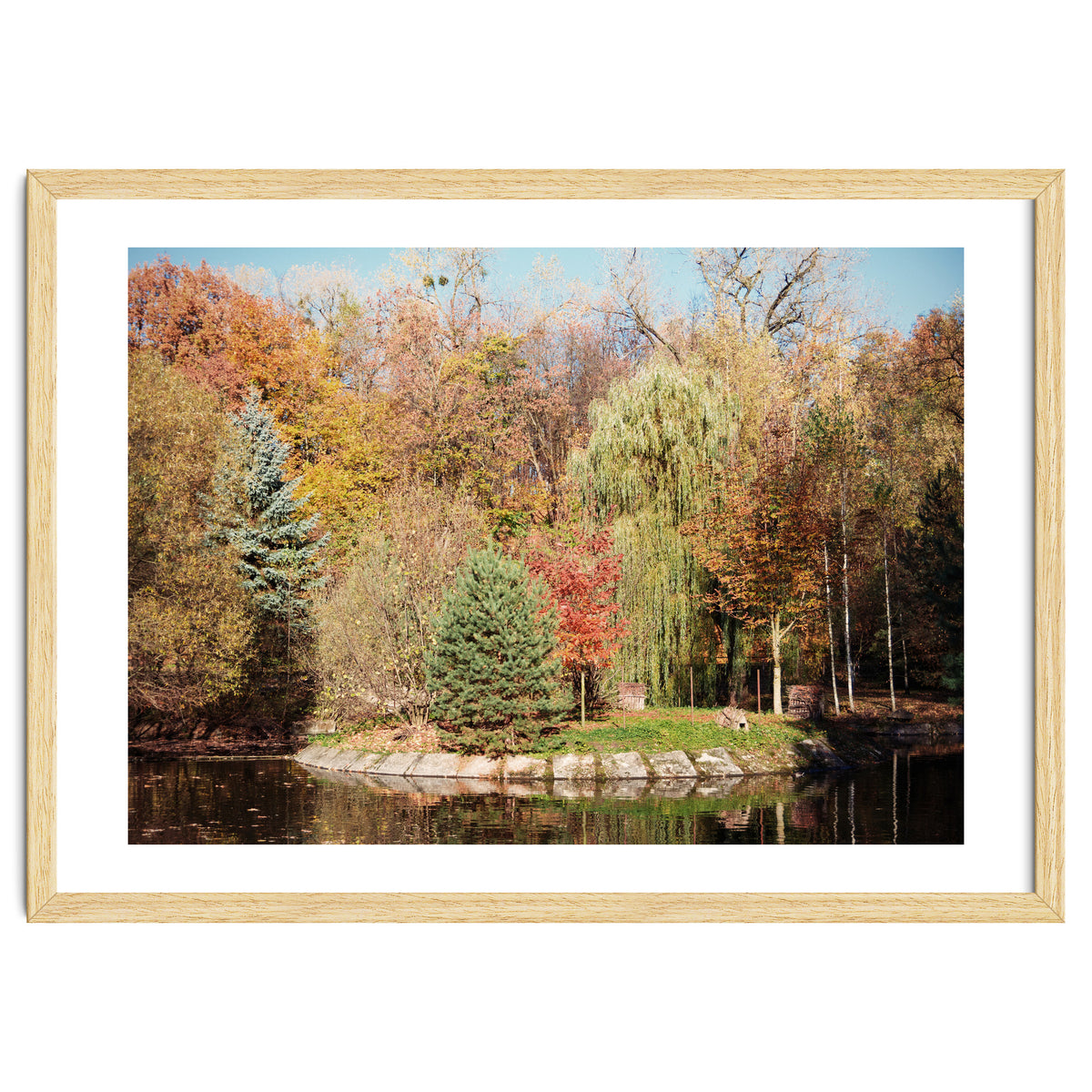 Transition from Summer to Winter