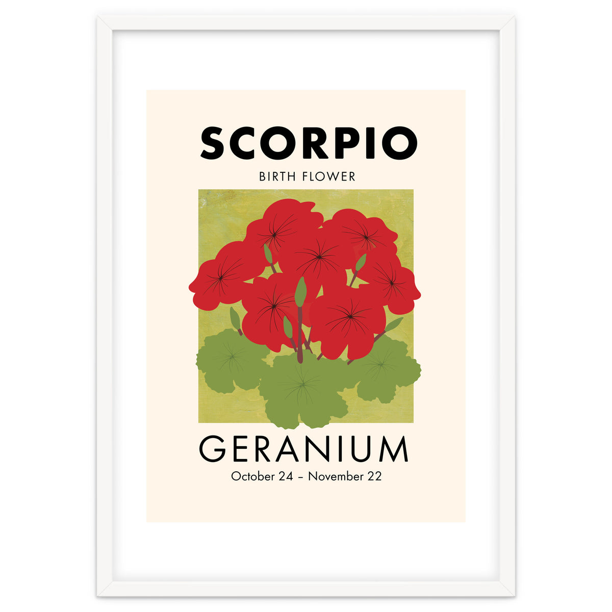 Scorpio Birth Flower Geranium