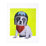 Easy Rider Dog (Print Only) thumbnail