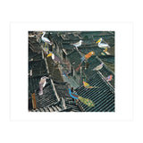 Bird Town (Print Only) thumbnail
