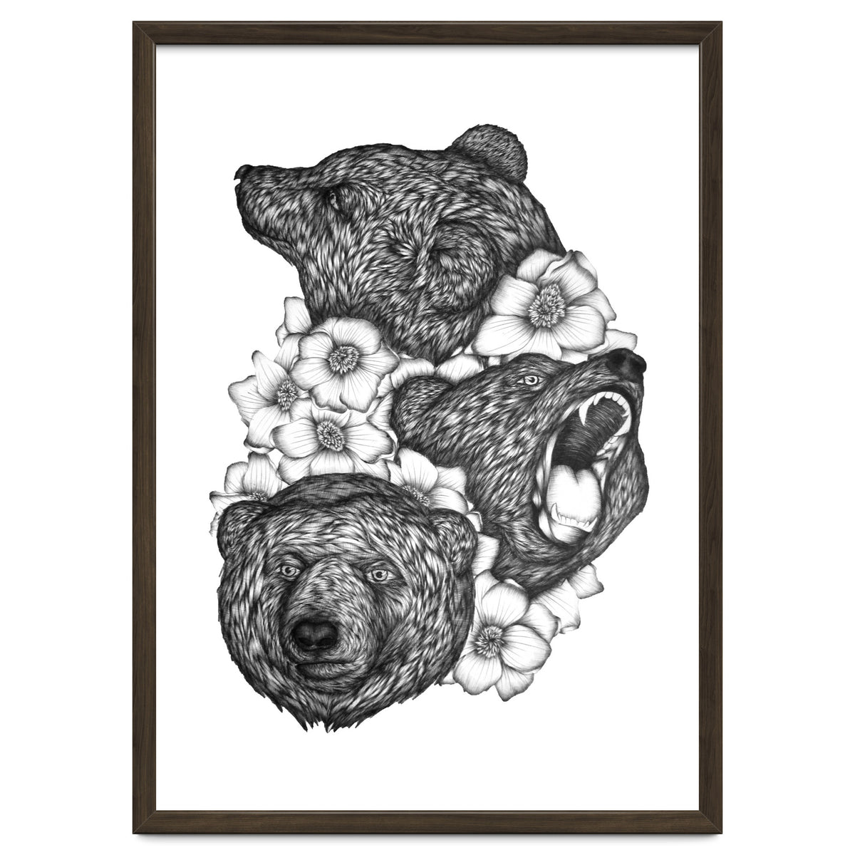 Bears In Bears