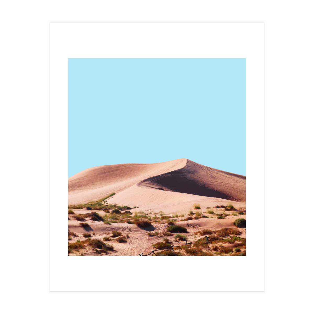 Oasis (Print Only)
