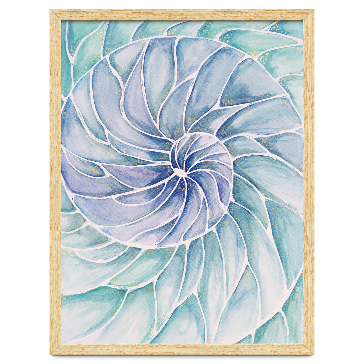 The inside of a shell