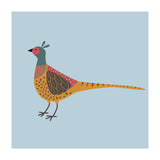 Pheasant (Print Only) thumbnail