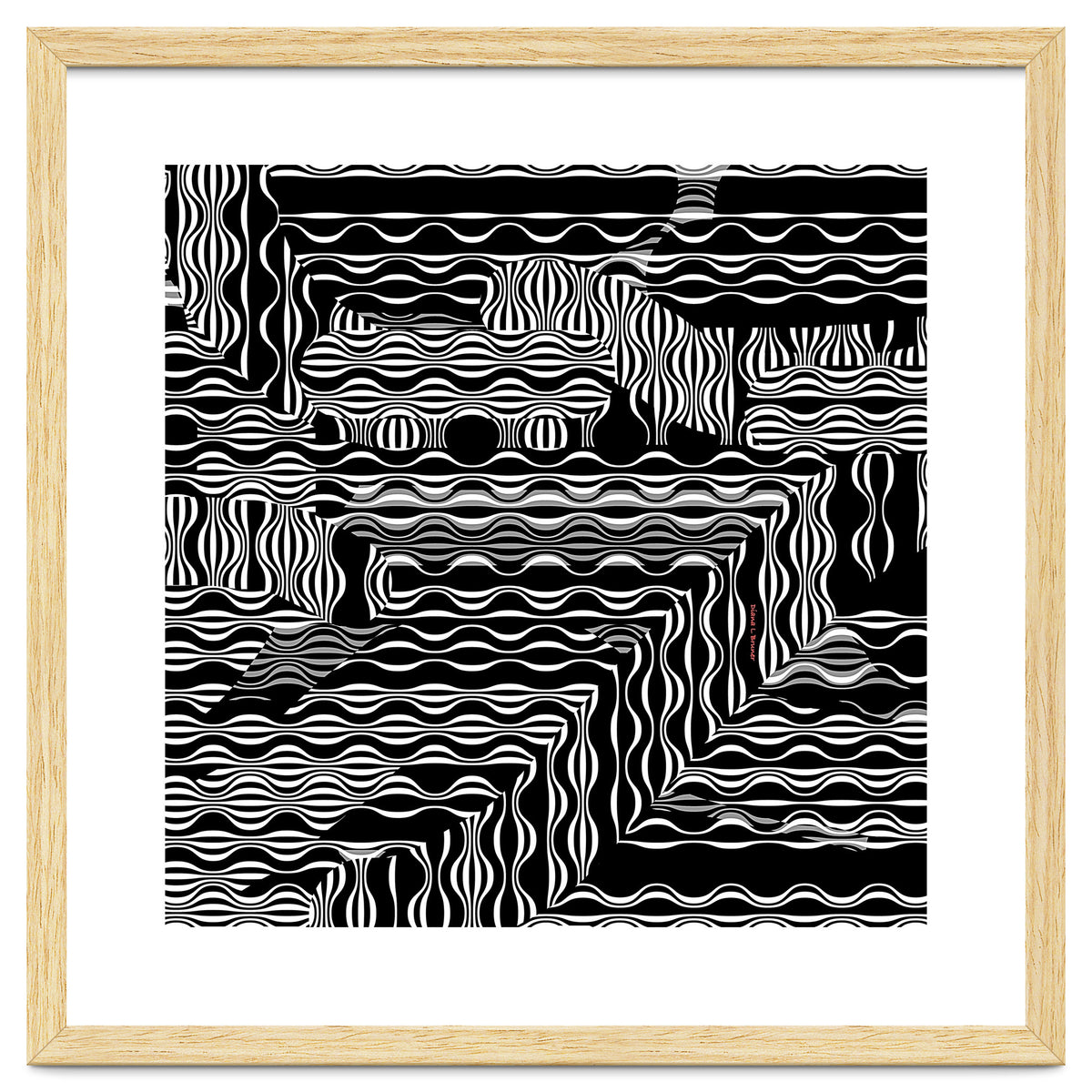 BLACK AND WHITE EXOTIC