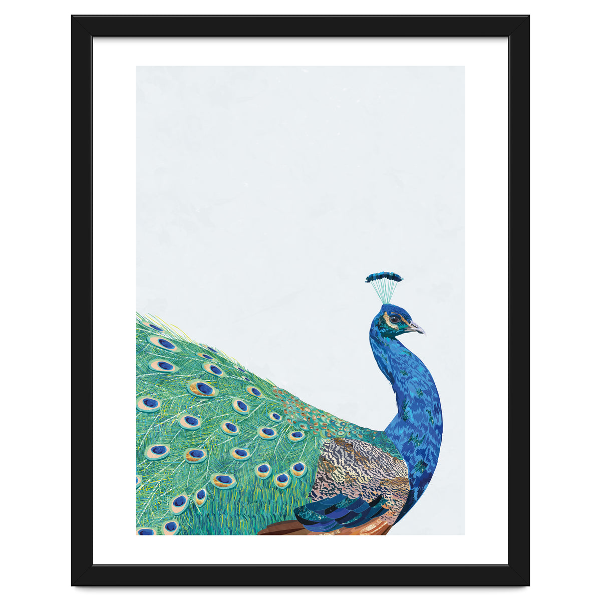 Peacock Portrait