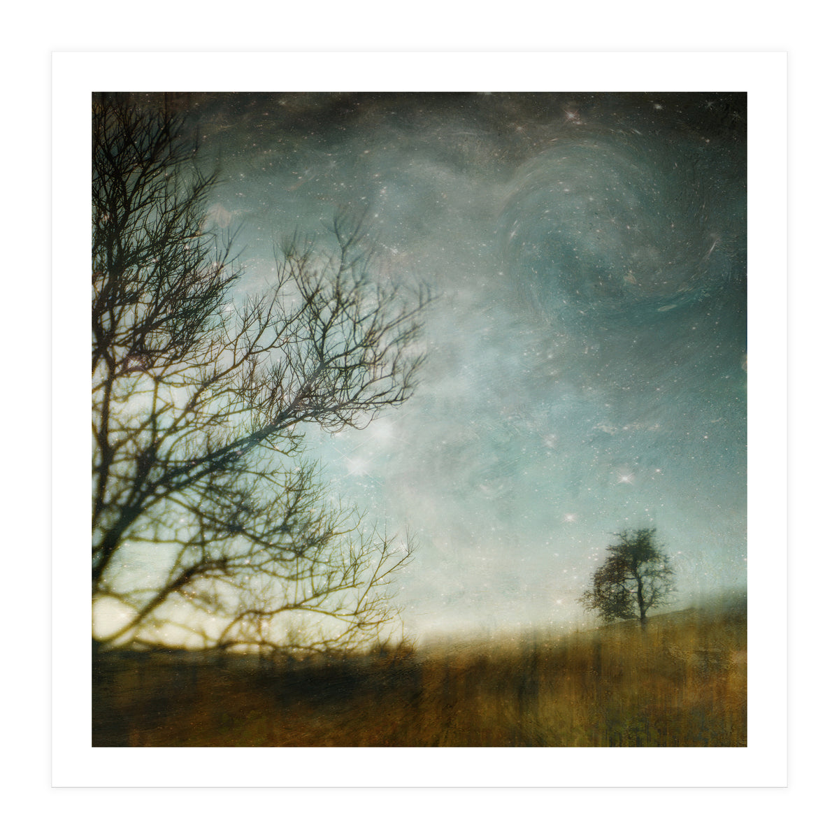 The Tree That Whispered (Print Only)