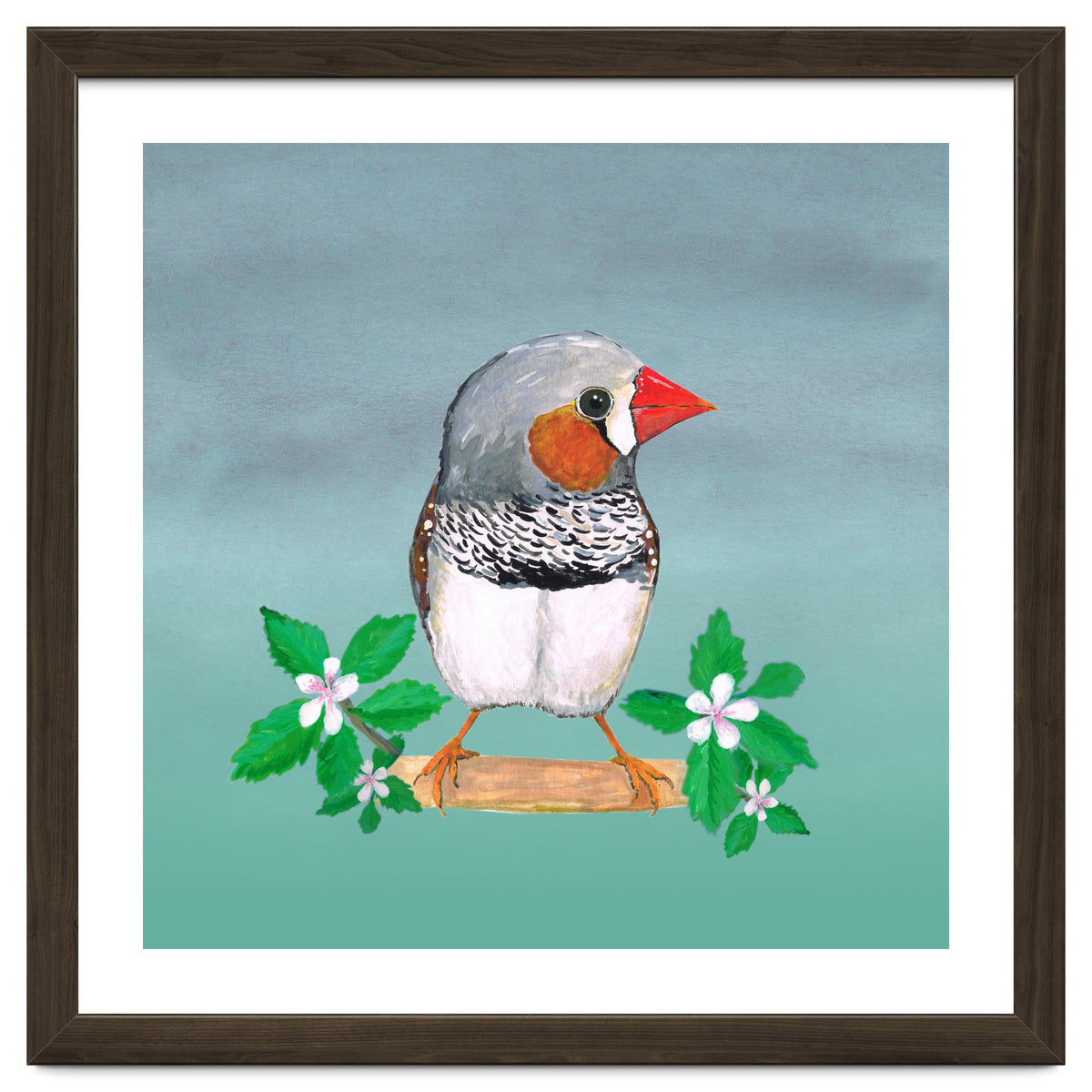Zebra finch