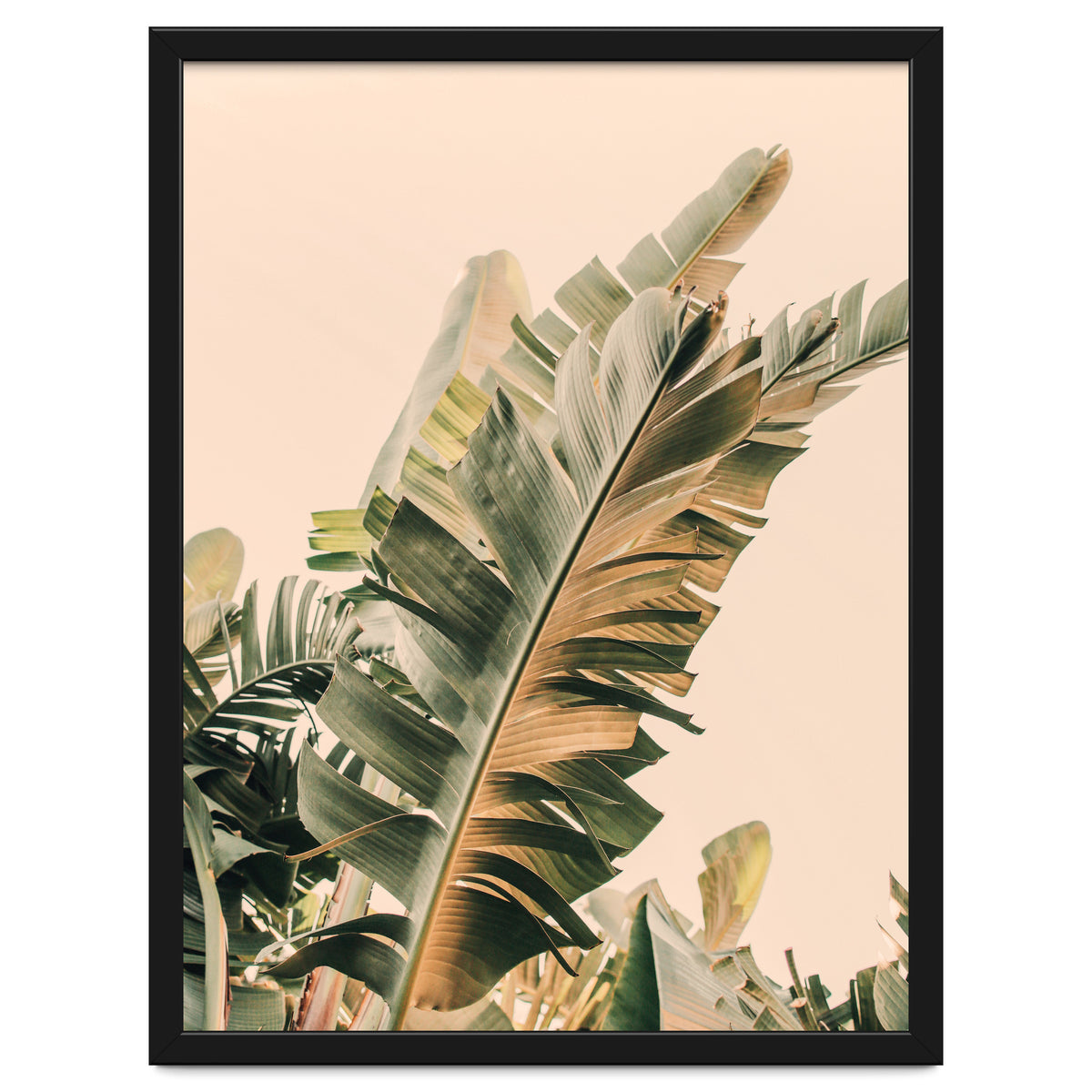 Growing Green Alicia Bock