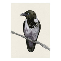 Hooded crow watercolor (Print Only)