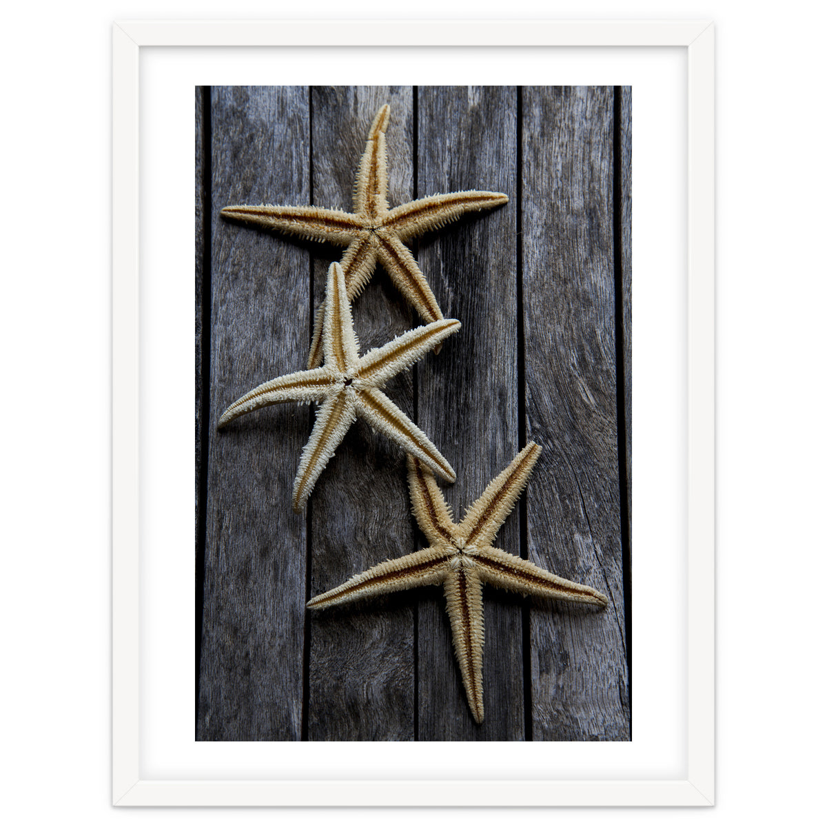Starfishes in wooden