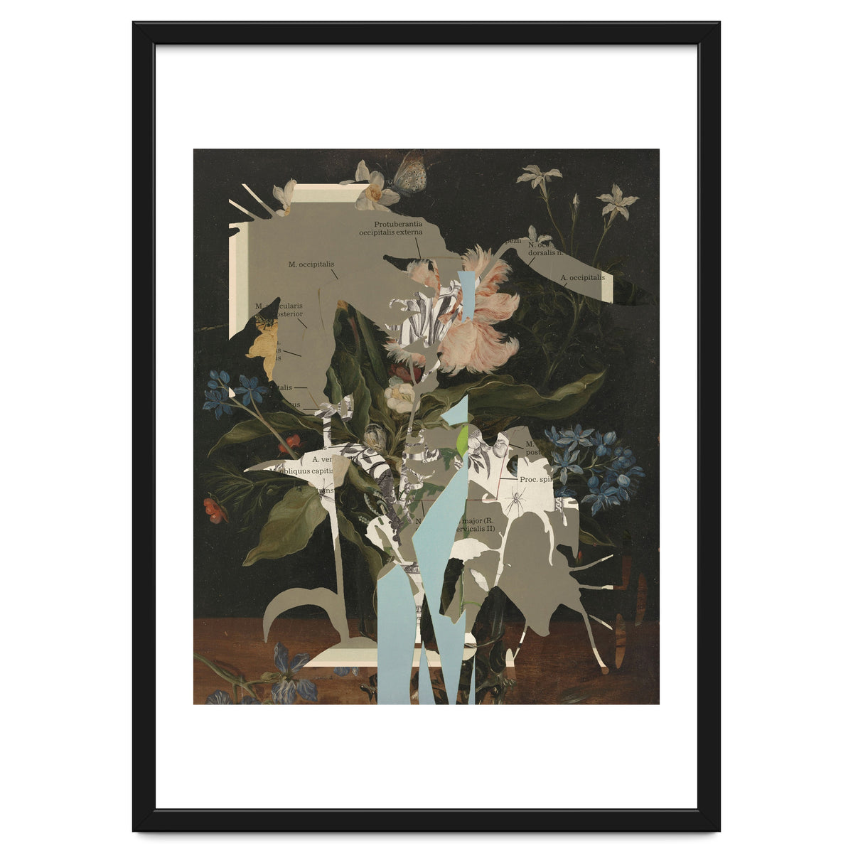 The First Plant · D2