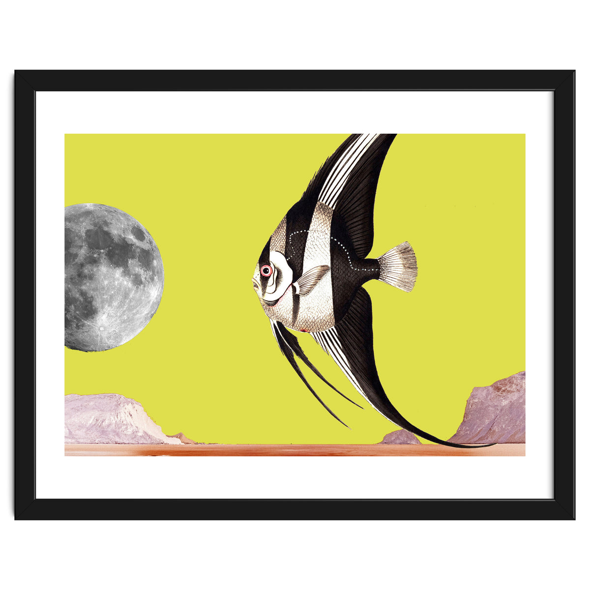 Plenty of fish in the sea yellow