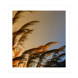 Sunset in autumn (Print Only) thumbnail