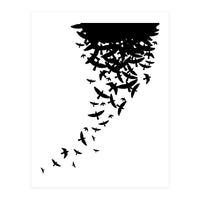 Birds Fly (Print Only)