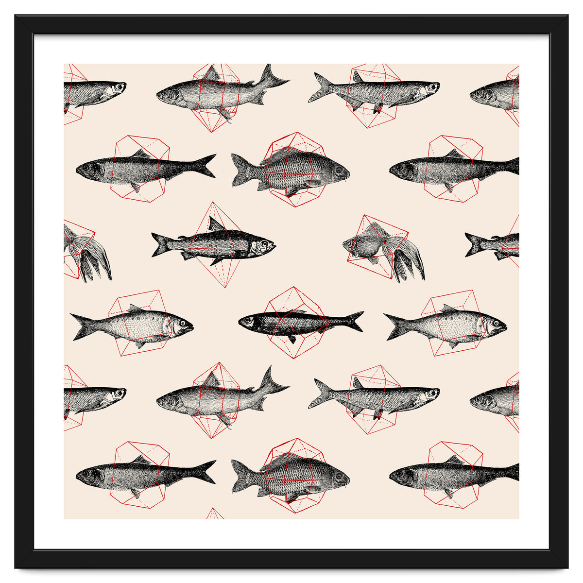Fish In Geometrics
